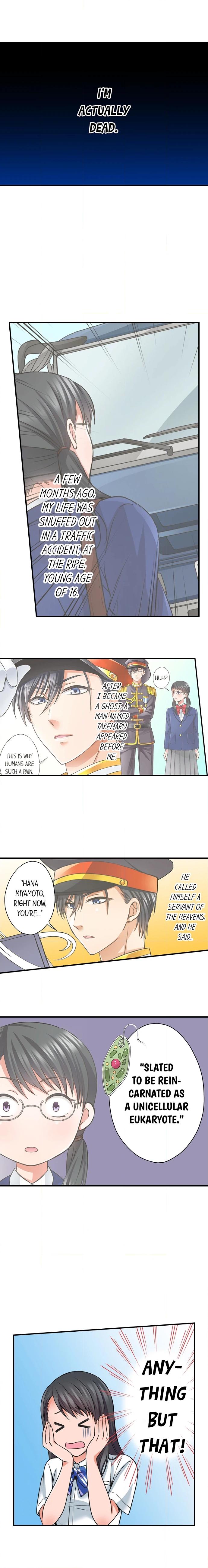My First Kiss After I Died at 16 Chapter 1 page 4 - 