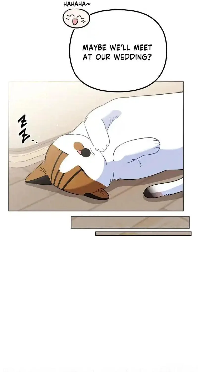 My first love from the future Chapter 3 page 98 - 