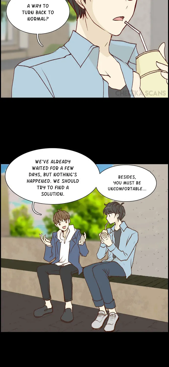 My Girlfriend Is a Real Man Chapter 8 page 5 - 