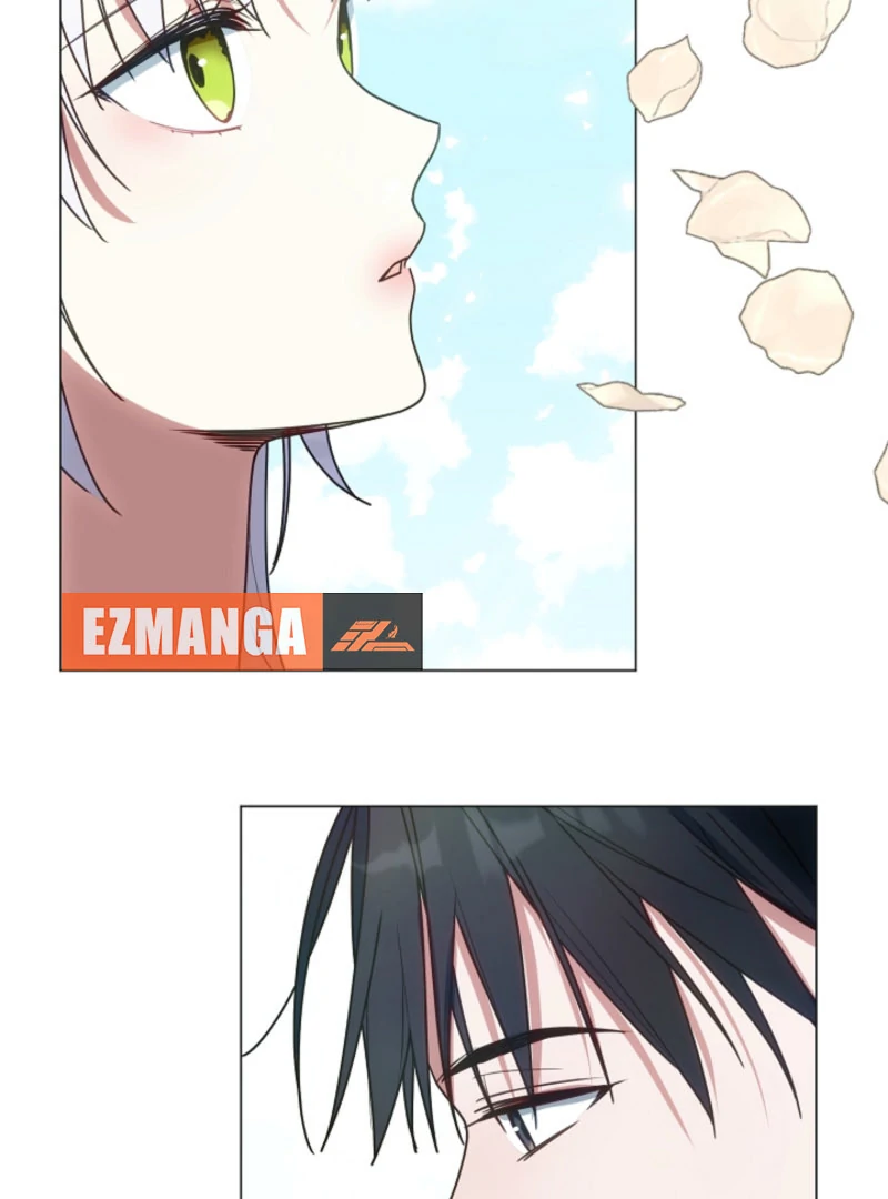 My Husband Changed At The Wedding Venue Chapter 27 page 62 - 