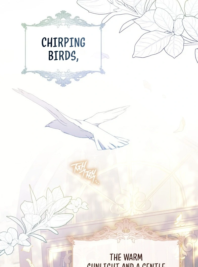 My Husband Is My Ultimate Bias, but I Think He Wants a Divorce Chapter 1 page 5 - 