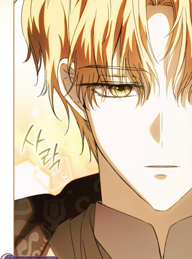 My Husband Is My Ultimate Bias, but I Think He Wants a Divorce Chapter 10 page 45 - 