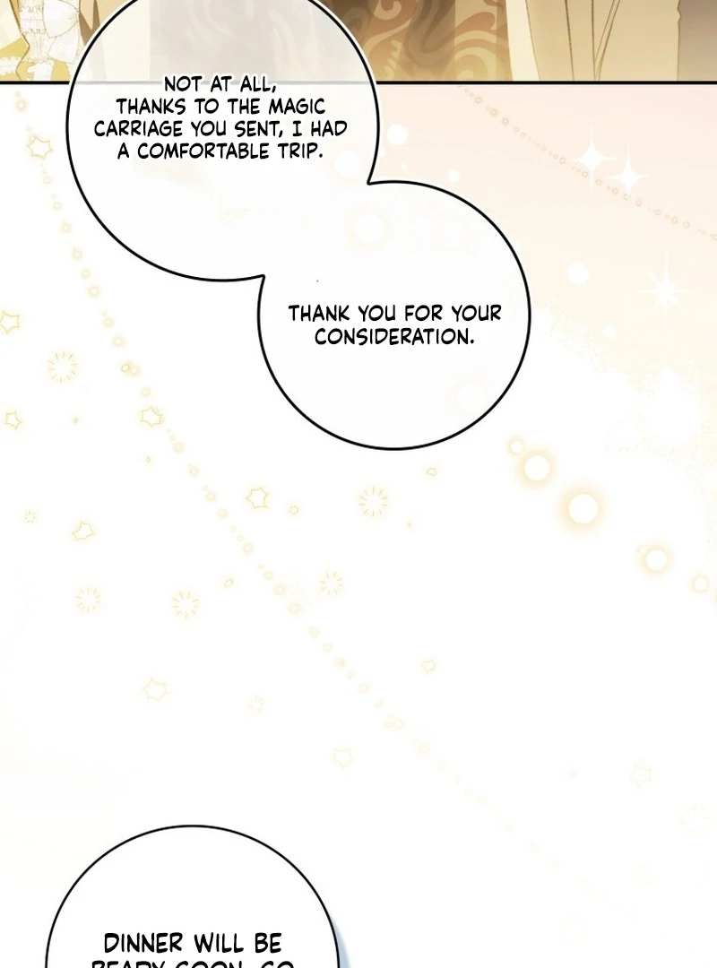 My Husband Is My Ultimate Bias, but I Think He Wants a Divorce Chapter 10 page 80 - 