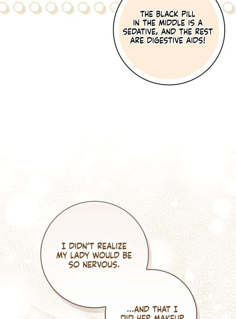 My Husband Is My Ultimate Bias, but I Think He Wants a Divorce Chapter 10 page 98 - 