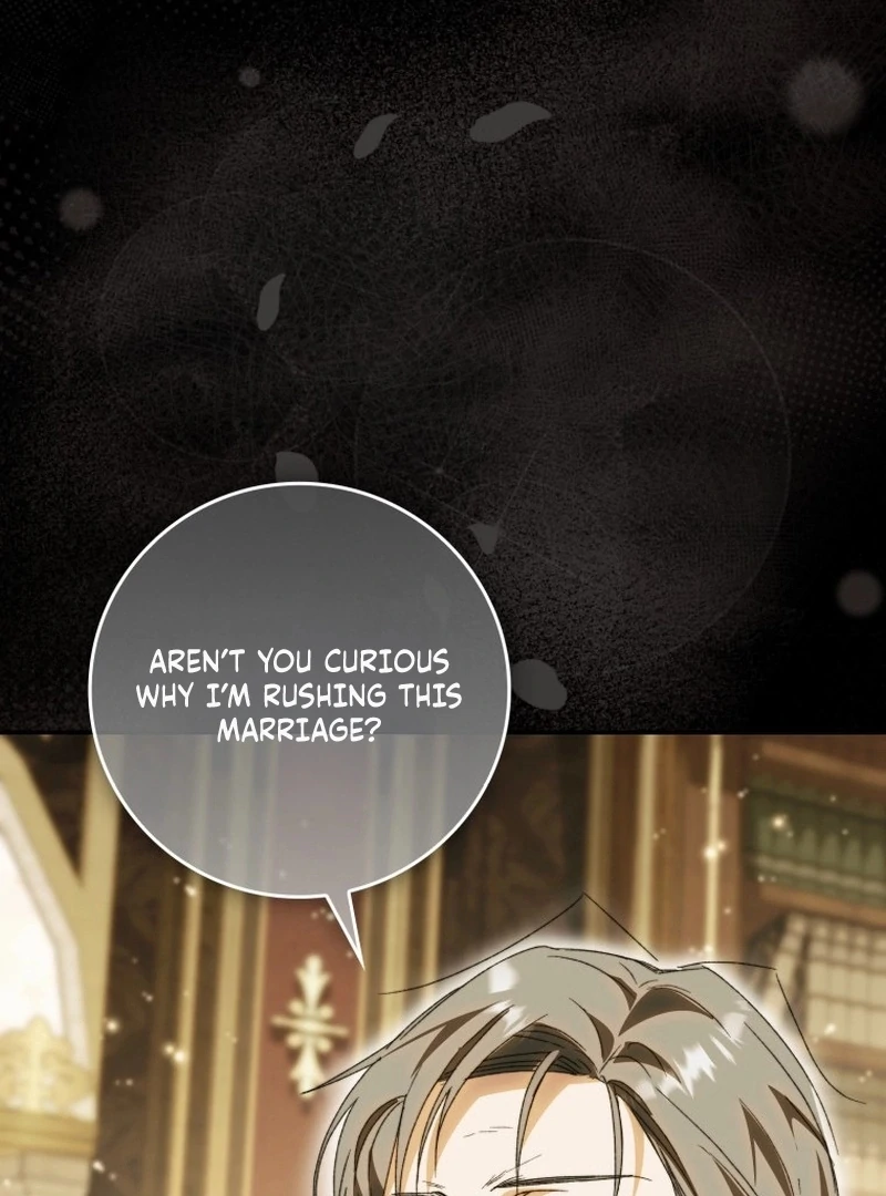 My Husband Is My Ultimate Bias, but I Think He Wants a Divorce Chapter 11 page 118 - 