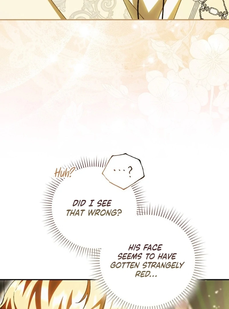 My Husband Is My Ultimate Bias, but I Think He Wants a Divorce Chapter 11 page 17 - 