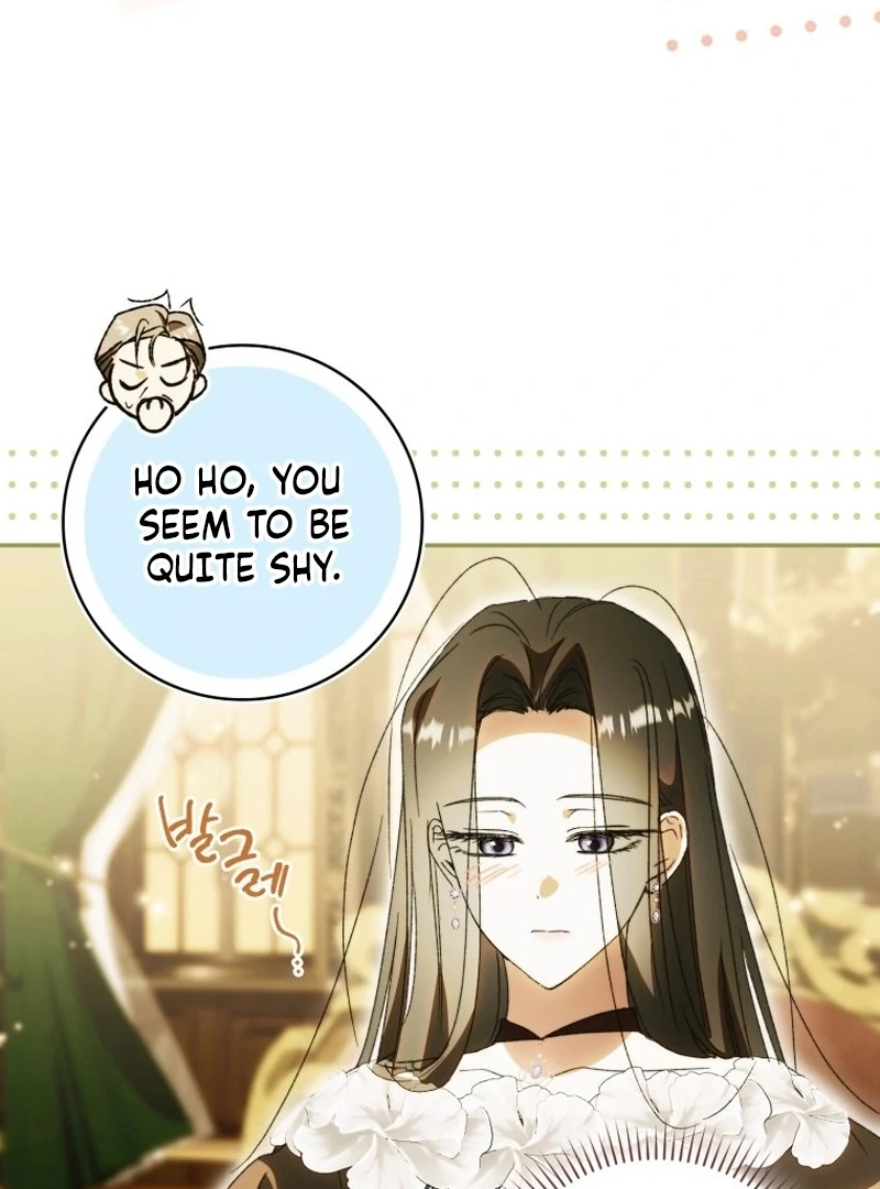 My Husband Is My Ultimate Bias, but I Think He Wants a Divorce Chapter 11 page 32 - 