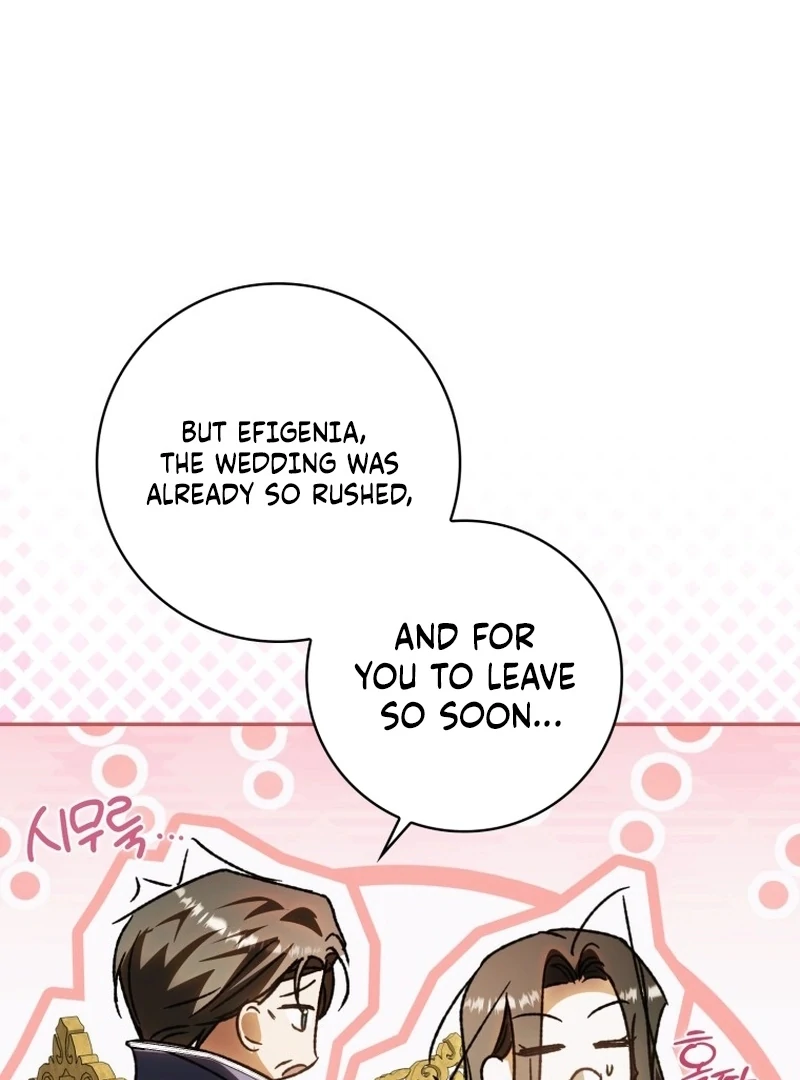 My Husband Is My Ultimate Bias, but I Think He Wants a Divorce Chapter 11 page 41 - 