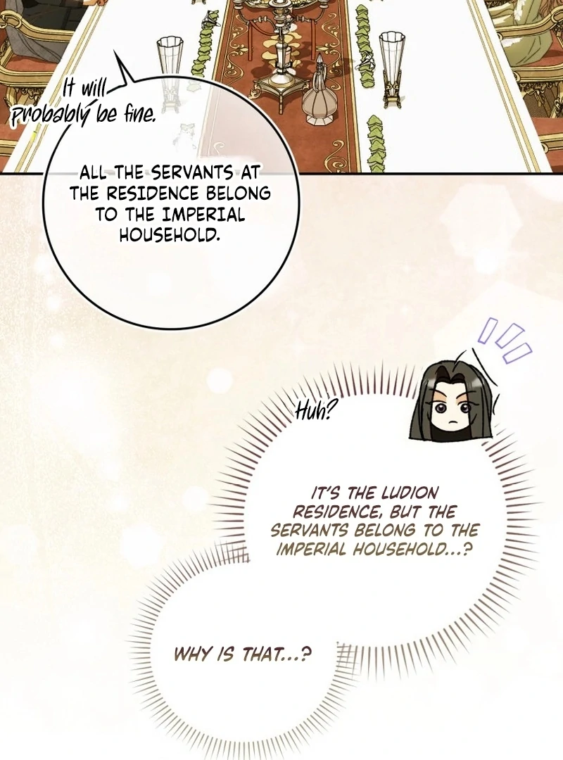 My Husband Is My Ultimate Bias, but I Think He Wants a Divorce Chapter 11 page 55 - 
