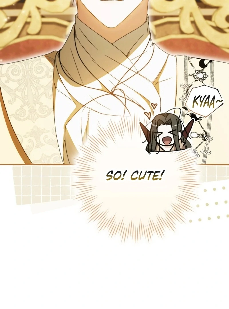 My Husband Is My Ultimate Bias, but I Think He Wants a Divorce Chapter 11 page 73 - 