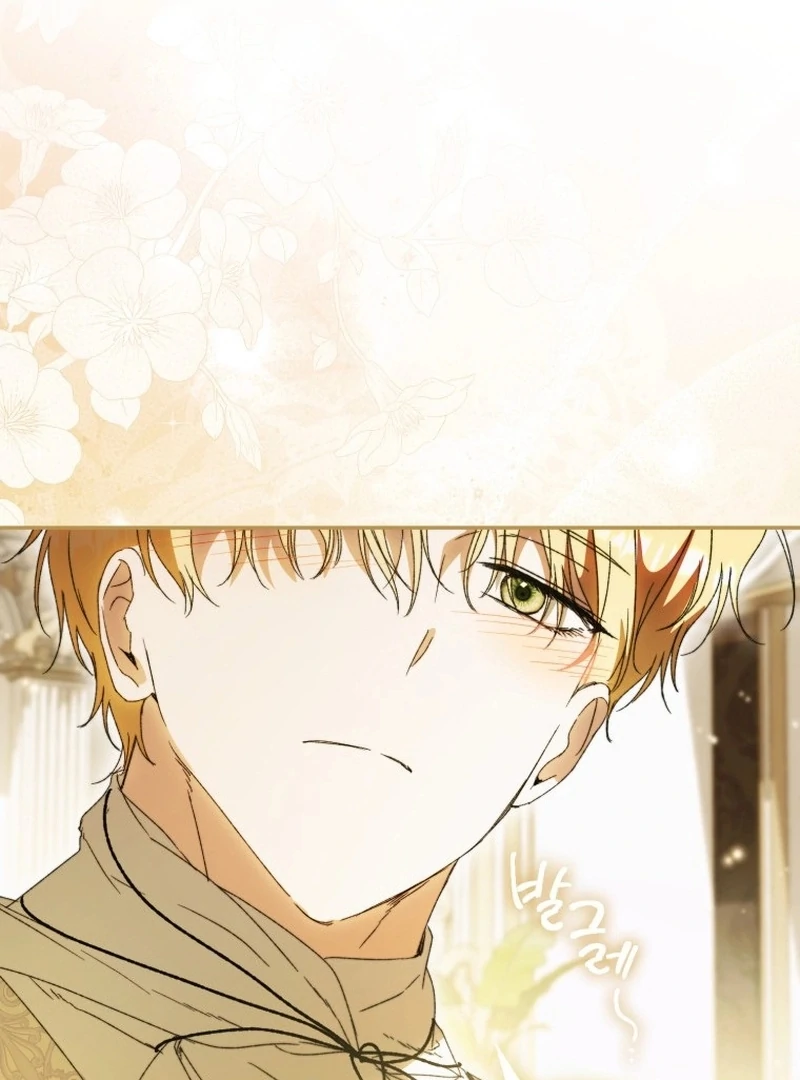 My Husband Is My Ultimate Bias, but I Think He Wants a Divorce Chapter 11 page 80 - 