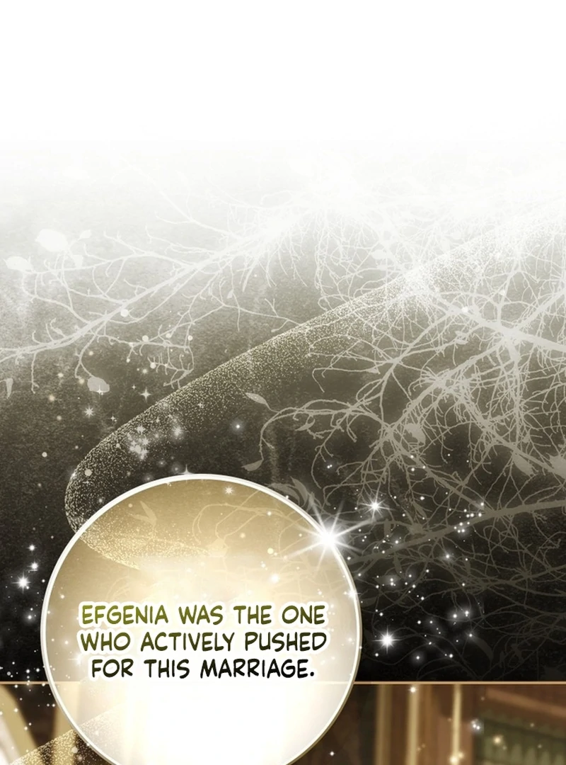 My Husband Is My Ultimate Bias, but I Think He Wants a Divorce Chapter 12 page 1 - 