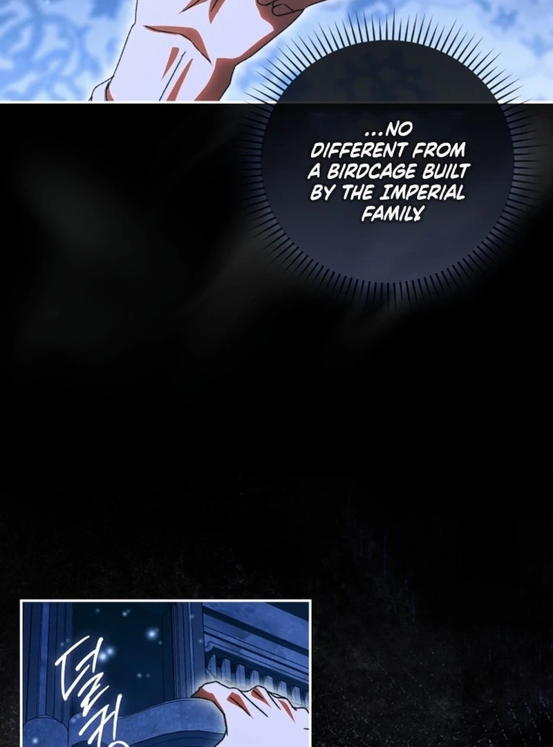 My Husband Is My Ultimate Bias, but I Think He Wants a Divorce Chapter 12 page 57 - 