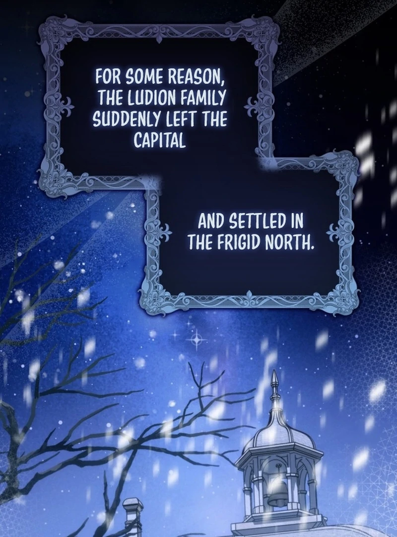 My Husband Is My Ultimate Bias, but I Think He Wants a Divorce Chapter 12 page 73 - 