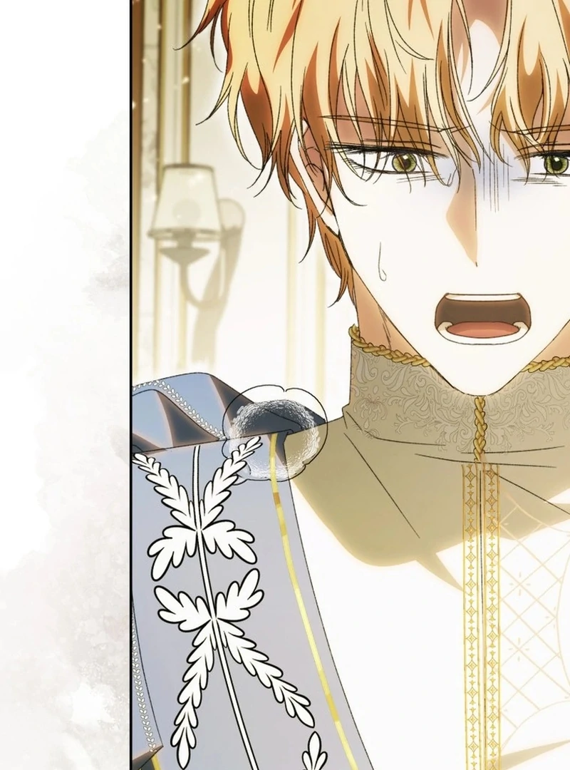 My Husband Is My Ultimate Bias, but I Think He Wants a Divorce Chapter 13 page 69 - 
