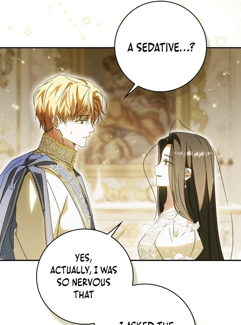 My Husband Is My Ultimate Bias, but I Think He Wants a Divorce Chapter 13 page 85 - 