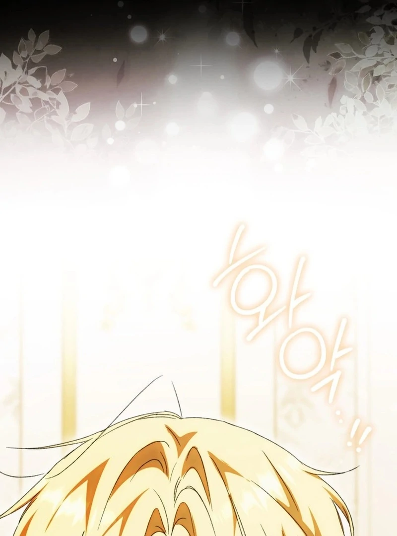 My Husband Is My Ultimate Bias, but I Think He Wants a Divorce Chapter 13 page 88 - 