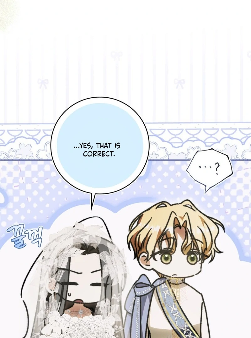 My Husband Is My Ultimate Bias, but I Think He Wants a Divorce Chapter 14 page 11 - 