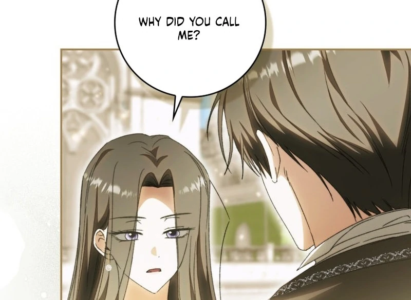 My Husband Is My Ultimate Bias, but I Think He Wants a Divorce Chapter 14 page 120 - 