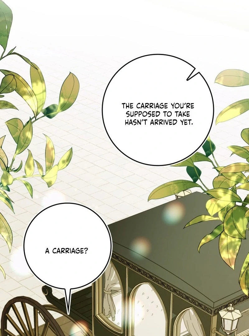 My Husband Is My Ultimate Bias, but I Think He Wants a Divorce Chapter 14 page 122 - 