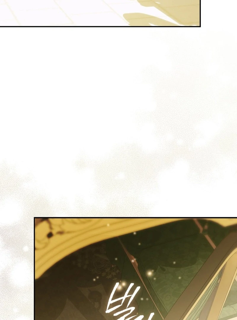 My Husband Is My Ultimate Bias, but I Think He Wants a Divorce Chapter 14 page 135 - 