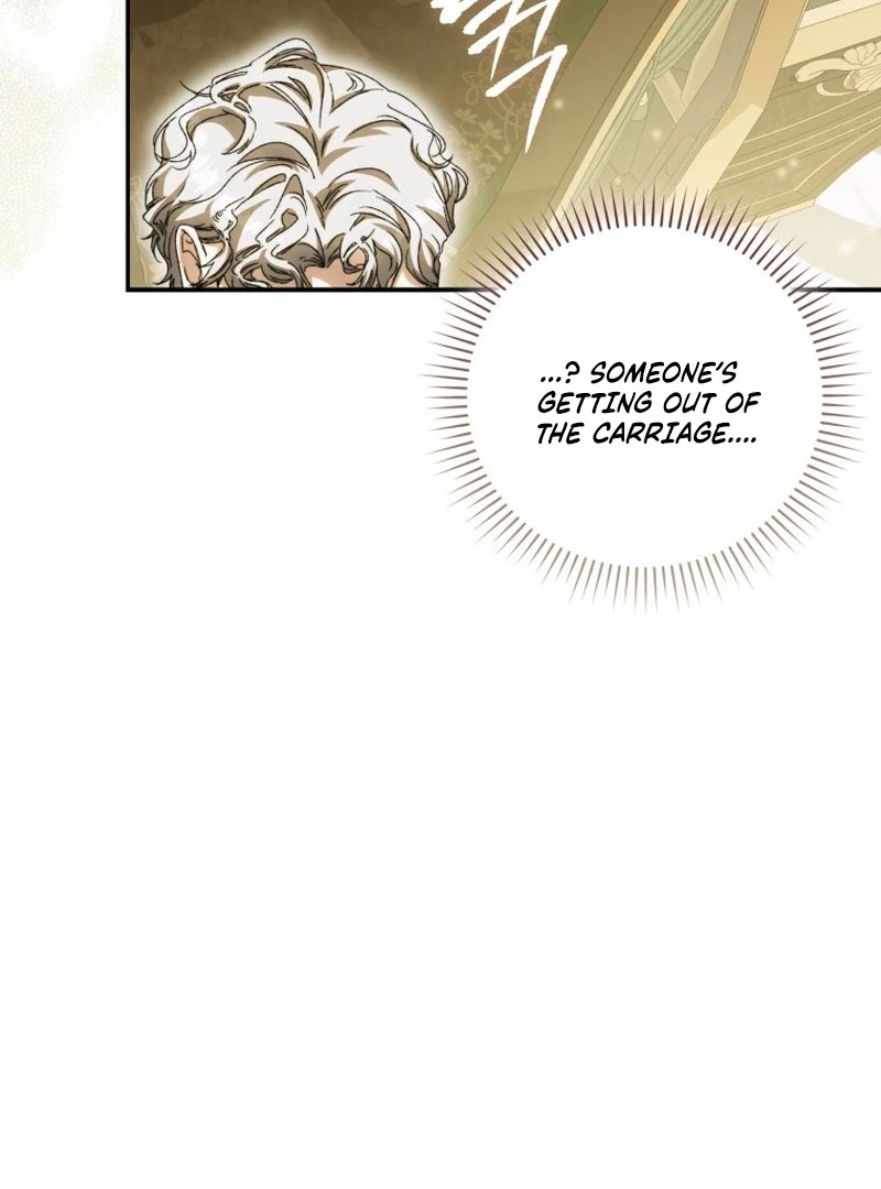 My Husband Is My Ultimate Bias, but I Think He Wants a Divorce Chapter 14 page 136 - 