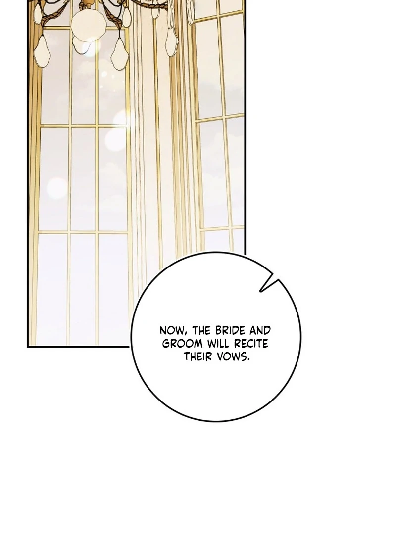 My Husband Is My Ultimate Bias, but I Think He Wants a Divorce Chapter 14 page 41 - 