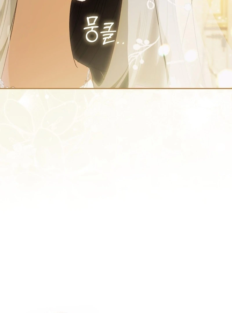 My Husband Is My Ultimate Bias, but I Think He Wants a Divorce Chapter 14 page 48 - 