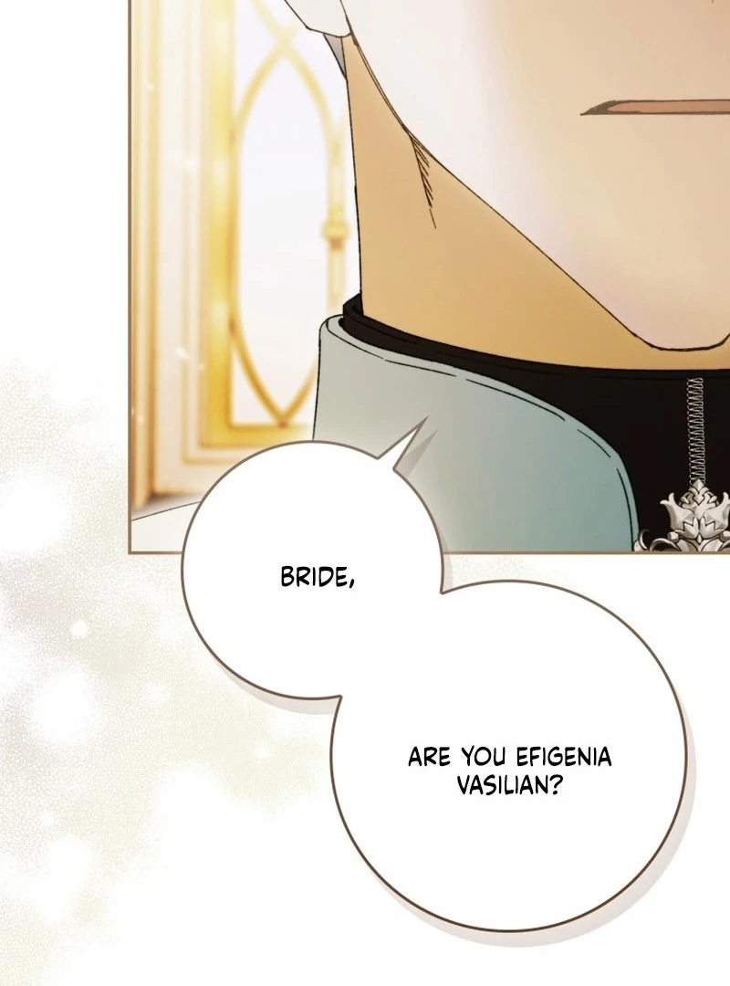 My Husband Is My Ultimate Bias, but I Think He Wants a Divorce Chapter 14 page 10 - 