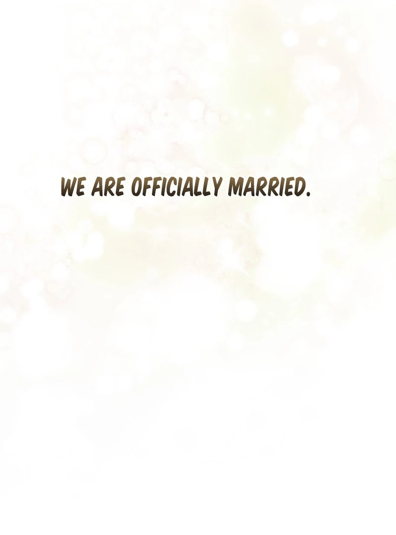 My Husband Is My Ultimate Bias, but I Think He Wants a Divorce Chapter 14 page 93 - 
