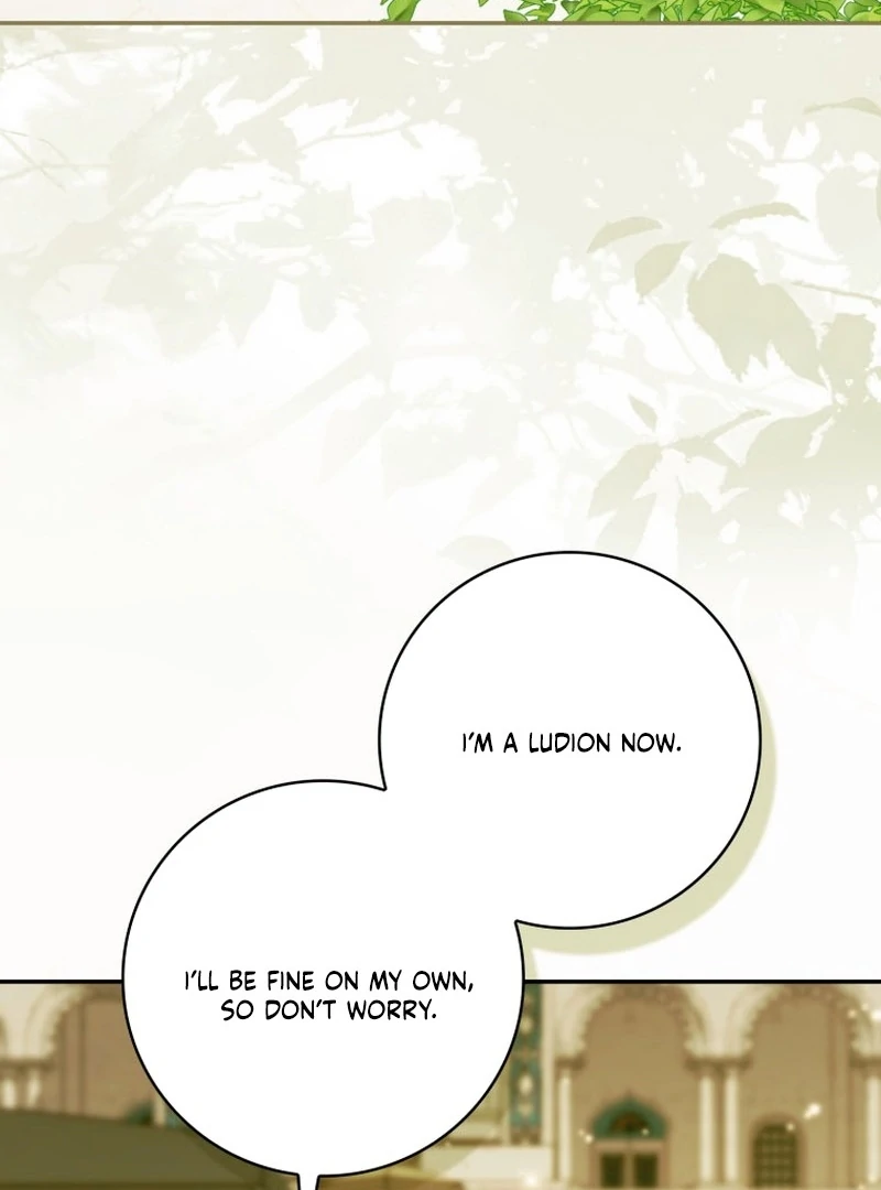 My Husband Is My Ultimate Bias, but I Think He Wants a Divorce Chapter 14 page 96 - 