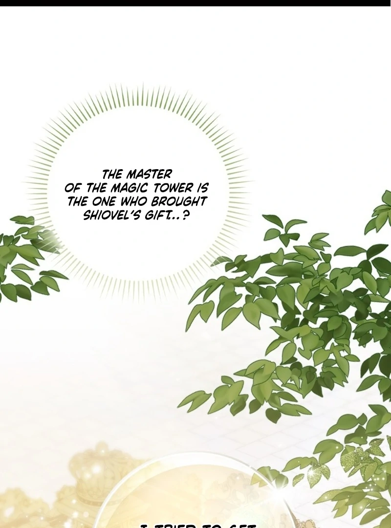 My Husband Is My Ultimate Bias, but I Think He Wants a Divorce Chapter 15 page 2 - 