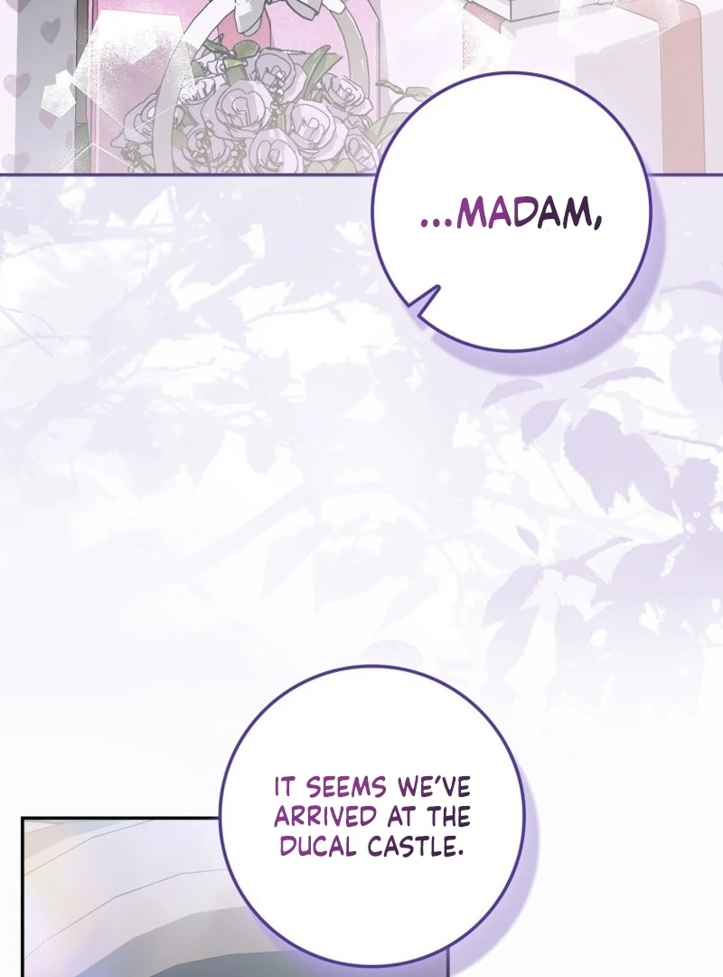 My Husband Is My Ultimate Bias, but I Think He Wants a Divorce Chapter 15 page 134 - 