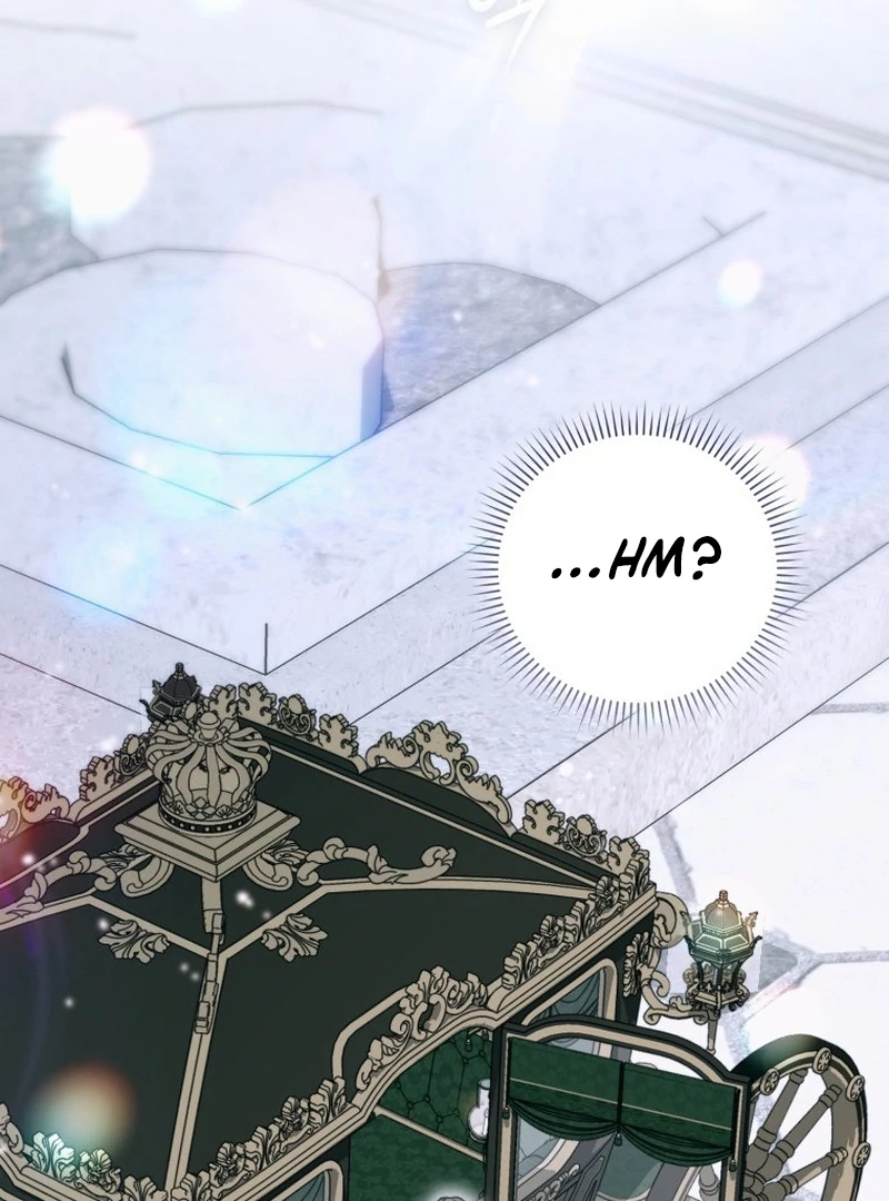 My Husband Is My Ultimate Bias, but I Think He Wants a Divorce Chapter 15 page 141 - 