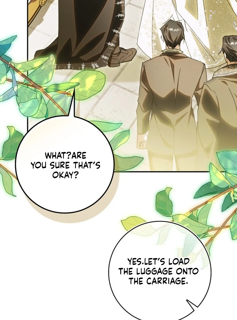 My Husband Is My Ultimate Bias, but I Think He Wants a Divorce Chapter 15 page 42 - 