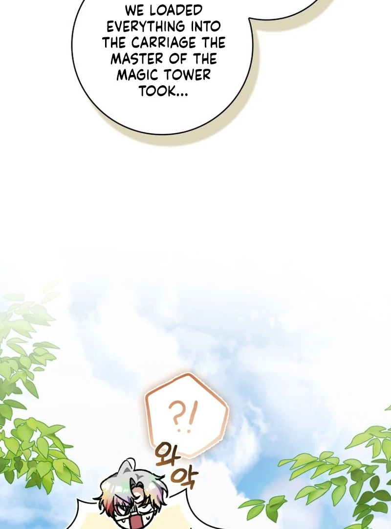 My Husband Is My Ultimate Bias, but I Think He Wants a Divorce Chapter 15 page 63 - 