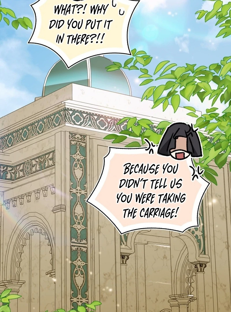My Husband Is My Ultimate Bias, but I Think He Wants a Divorce Chapter 15 page 64 - 