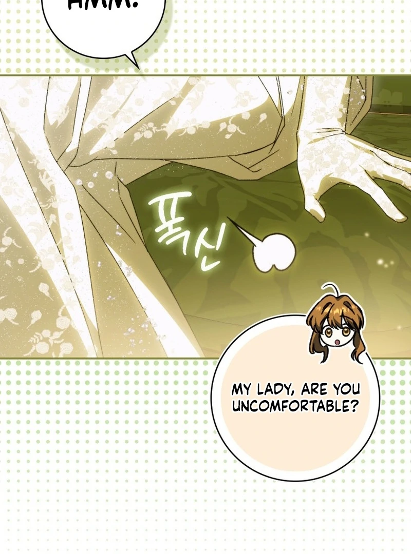My Husband Is My Ultimate Bias, but I Think He Wants a Divorce Chapter 15 page 68 - 