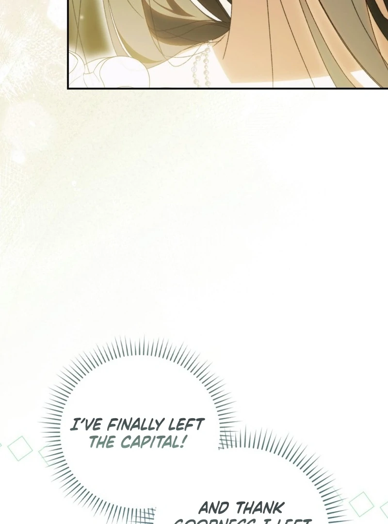 My Husband Is My Ultimate Bias, but I Think He Wants a Divorce Chapter 15 page 72 - 