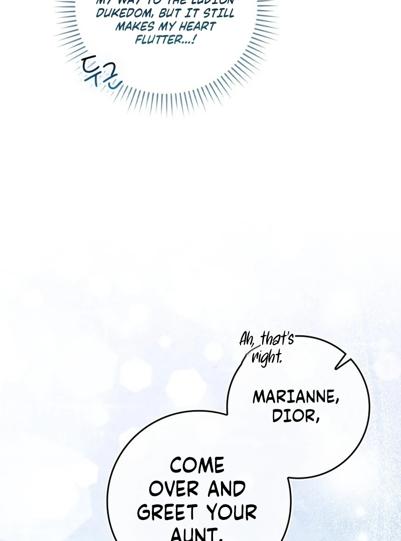 My Husband Is My Ultimate Bias, but I Think He Wants a Divorce Chapter 16 page 15 - 