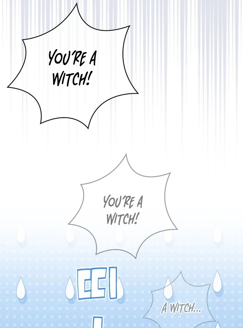 My Husband Is My Ultimate Bias, but I Think He Wants a Divorce Chapter 16 page 32 - 