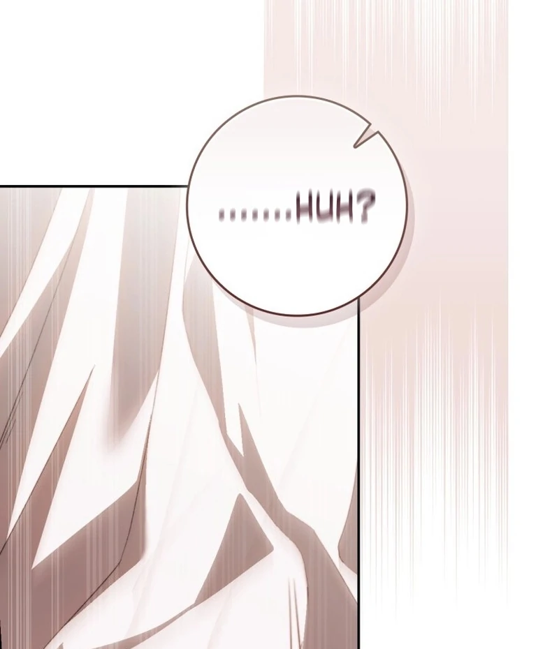 My Husband Is My Ultimate Bias, but I Think He Wants a Divorce Chapter 17 page 118 - 