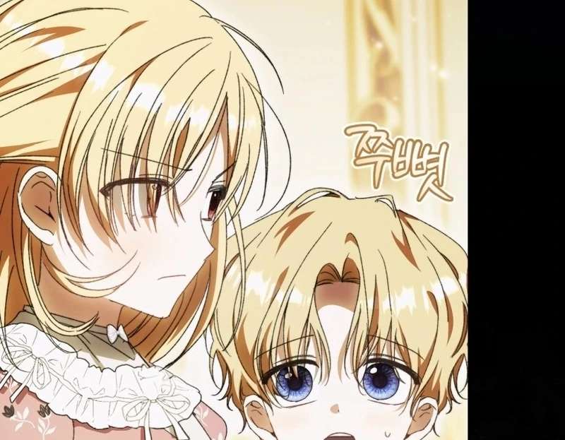 My Husband Is My Ultimate Bias, but I Think He Wants a Divorce Chapter 17 page 9 - 