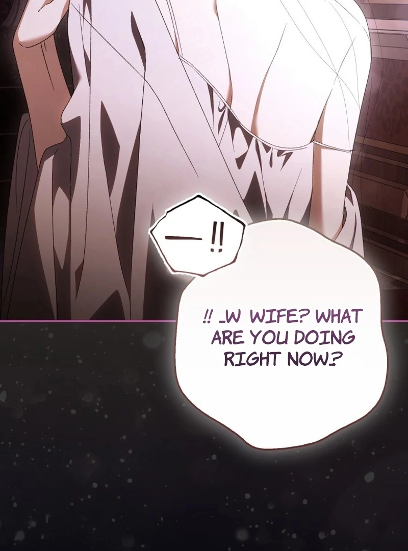 My Husband Is My Ultimate Bias, but I Think He Wants a Divorce Chapter 18 page 41 - 