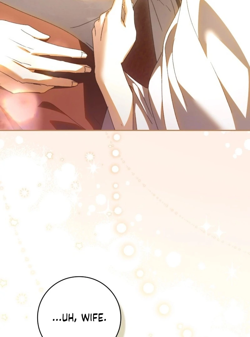 My Husband Is My Ultimate Bias, but I Think He Wants a Divorce Chapter 18 page 74 - 