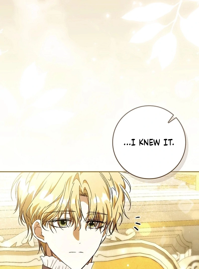 My Husband Is My Ultimate Bias, but I Think He Wants a Divorce Chapter 19 page 5 - 