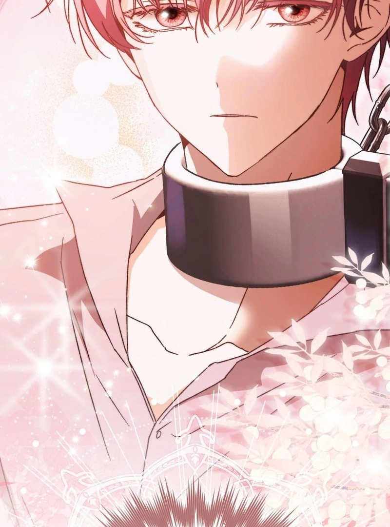 My Husband Is My Ultimate Bias, but I Think He Wants a Divorce Chapter 2 page 132 - 