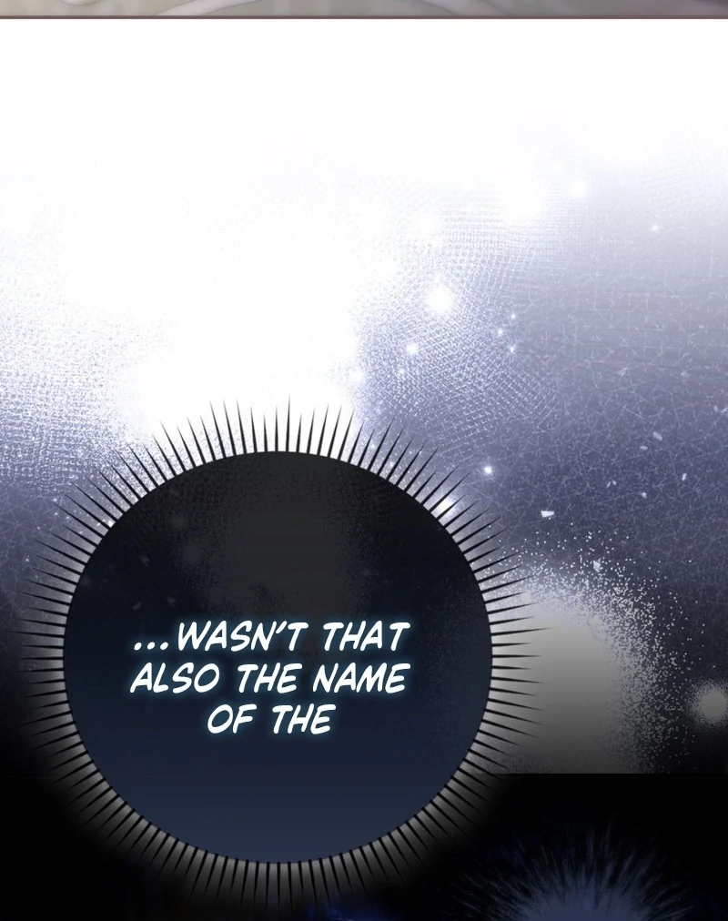My Husband Is My Ultimate Bias, but I Think He Wants a Divorce Chapter 22 page 84 - 