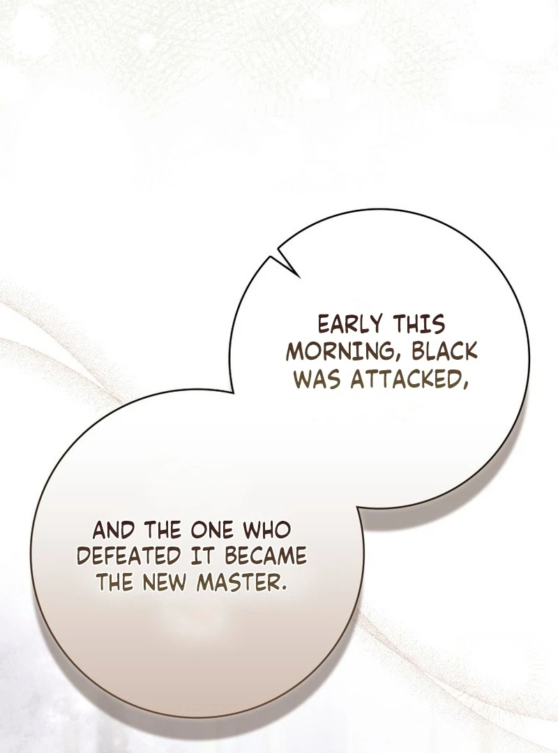 My Husband Is My Ultimate Bias, but I Think He Wants a Divorce Chapter 22 page 92 - 