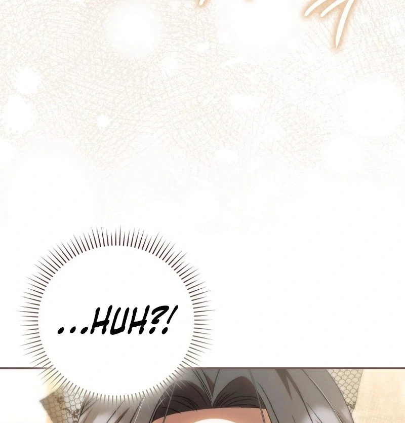 My Husband Is My Ultimate Bias, but I Think He Wants a Divorce Chapter 23 page 5 - 